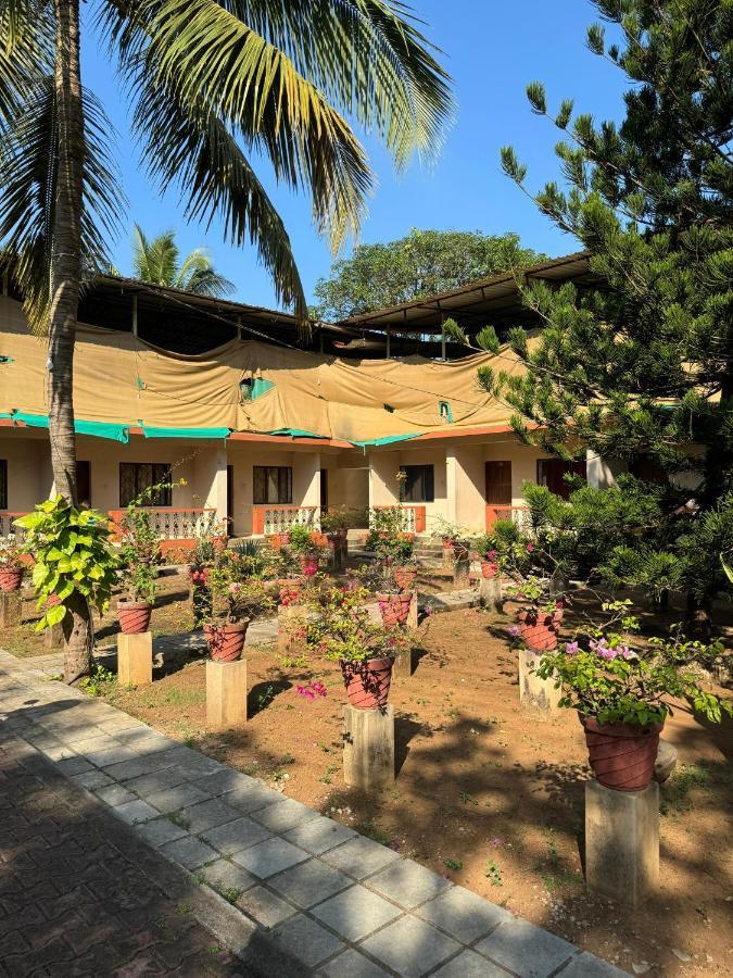 Villa Sol Beach Resort Бага Экстерьер фото